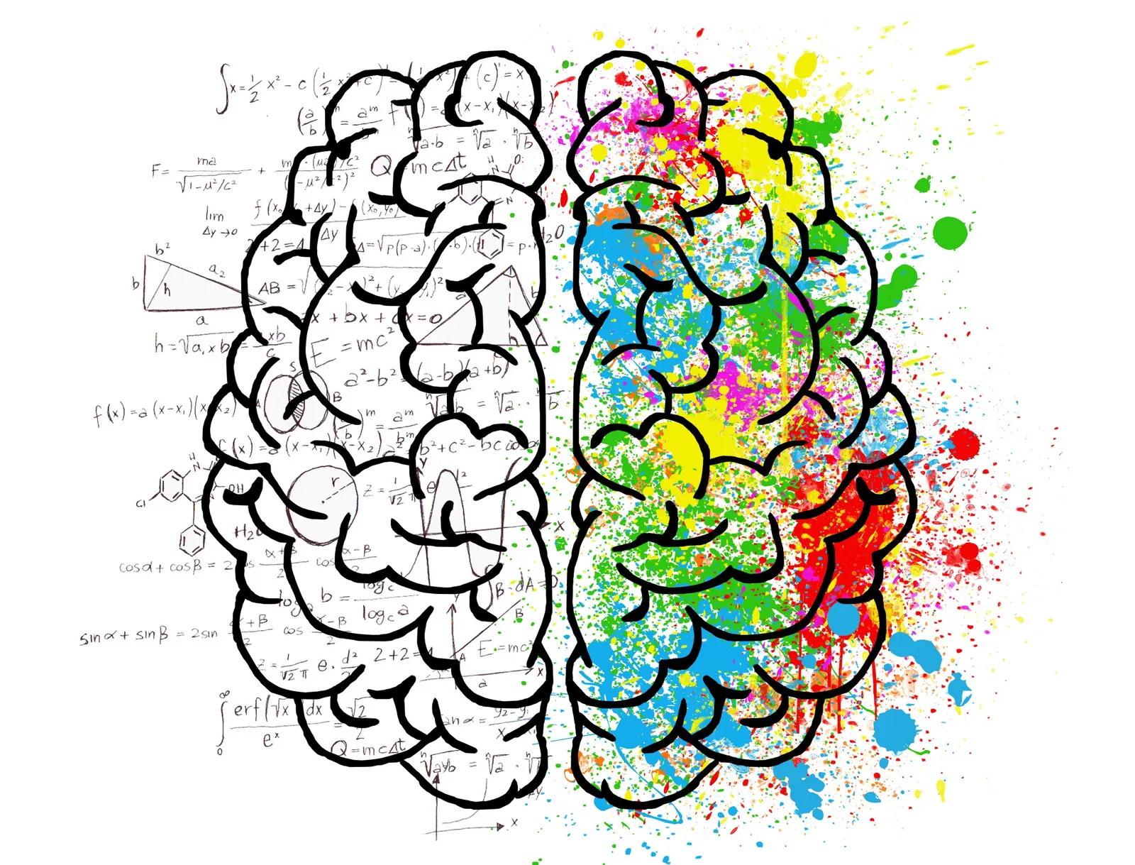 La neurociencia de las emociones